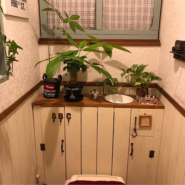 oozorataiga1さんの実例写真