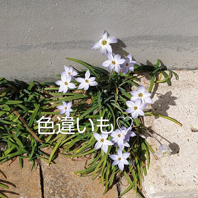 YUKOさんの実例写真