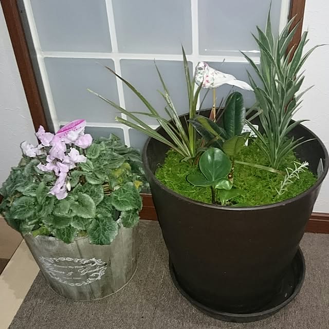 MIHさんの実例写真