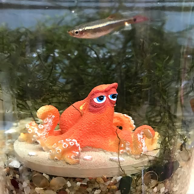 キッチンのインテリア実例 - 2017-05-13 12:59:08