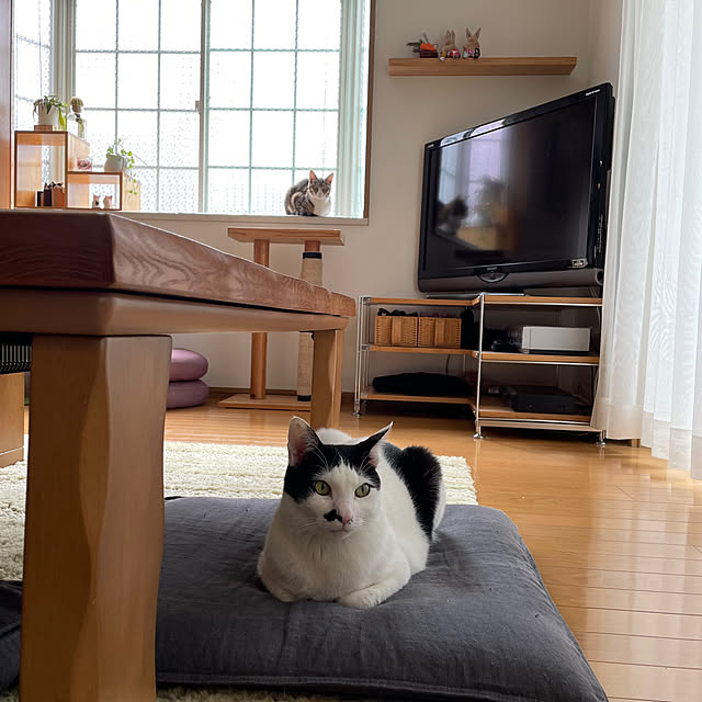 nobikoさんの実例写真