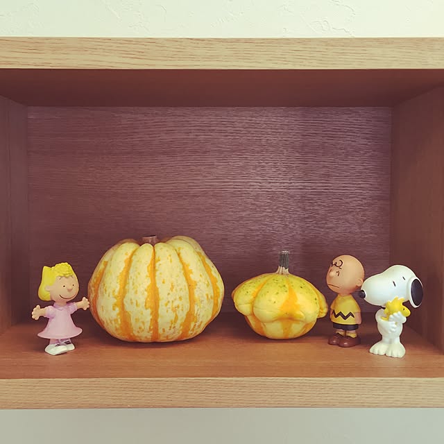 iccoさんの実例写真