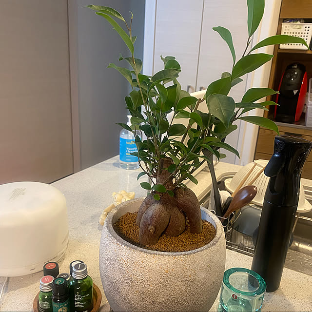 saepiiさんの実例写真