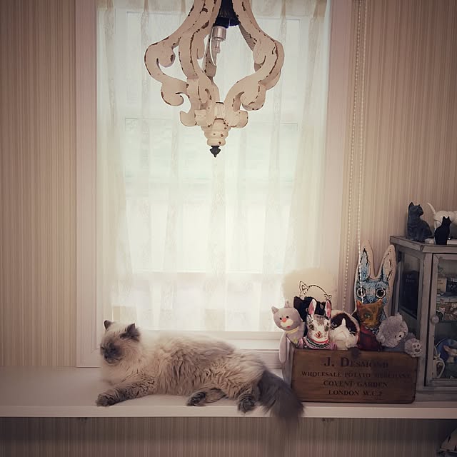 yuchiさんの実例写真