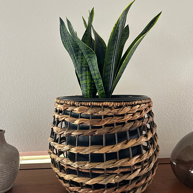 okiniiriさんの実例写真