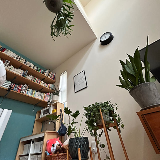 Mioさんの部屋