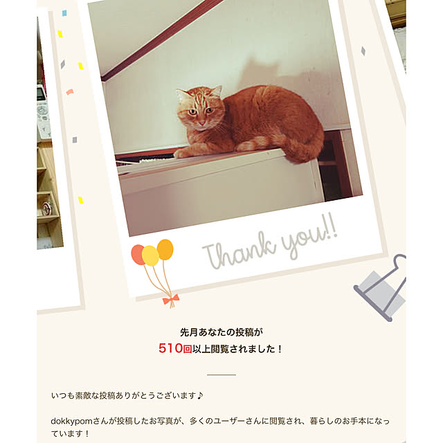 実家/実家の猫/いいね！押し逃げばかりでごめんなさい。/O型です♪/不器用ですが…...などのインテリア実例 - 2020-12-02 13:22:01