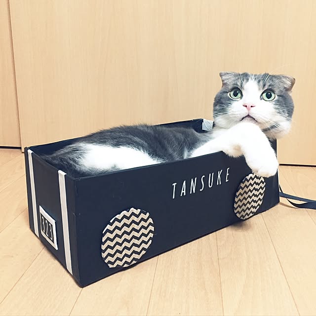 tansukeさんの実例写真