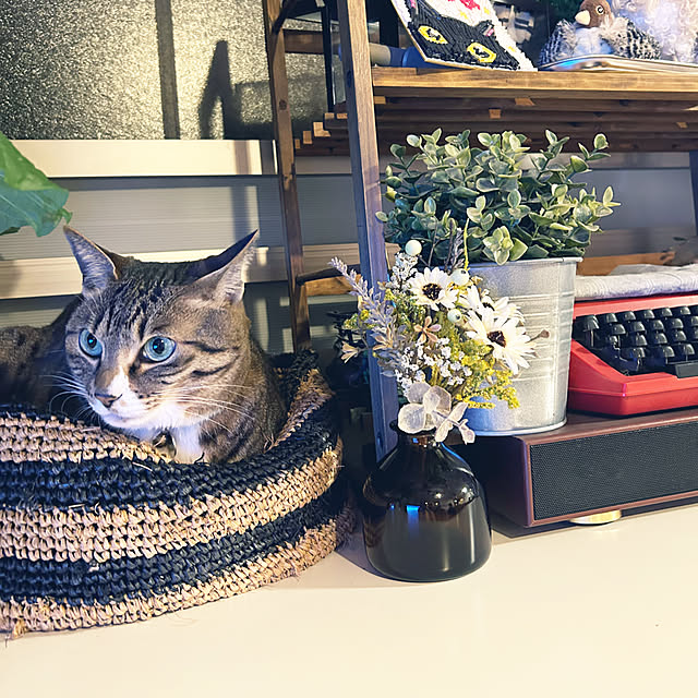 suemonta14さんの部屋