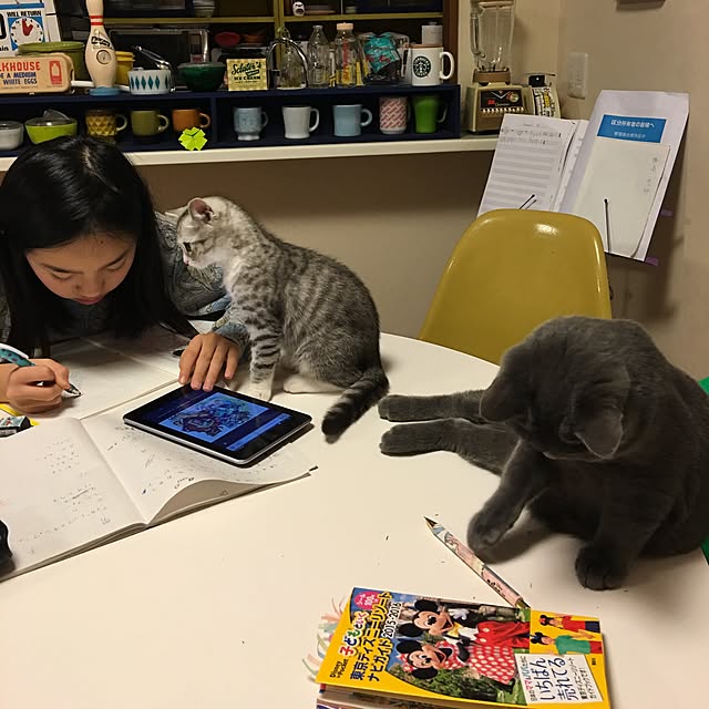 Shojiさんの実例写真