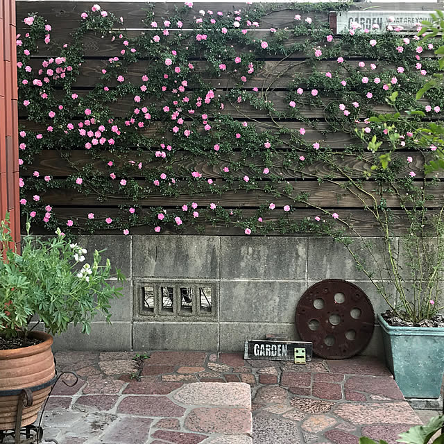 bibianさんの実例写真