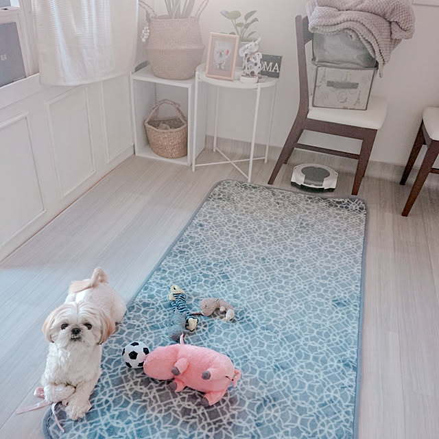 yukagomaさんの実例写真
