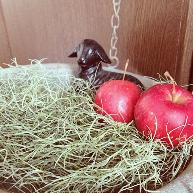 putitさんの実例写真
