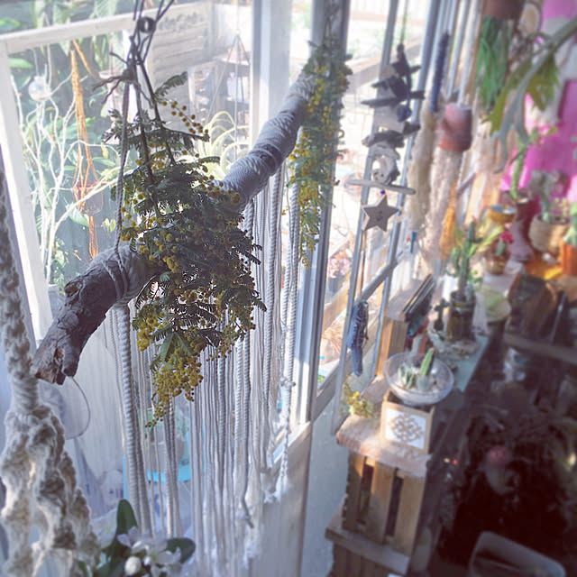 edenさんの実例写真