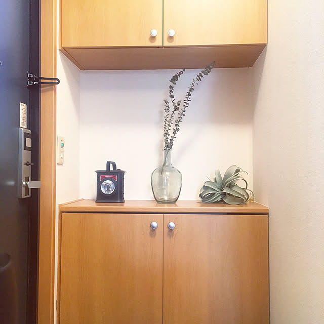 sowさんの実例写真