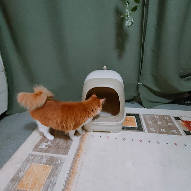 mori_6_12さんの実例写真