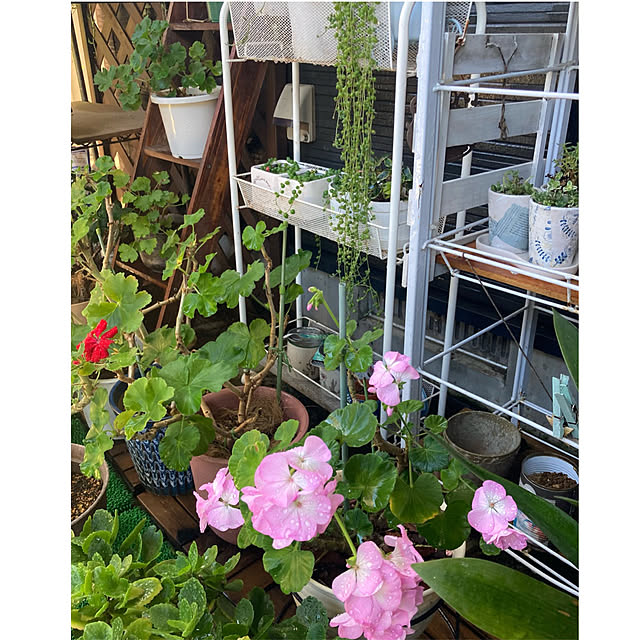 CoCo0617さんの部屋