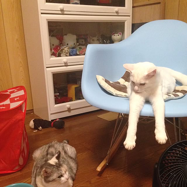 Reonaさんの実例写真