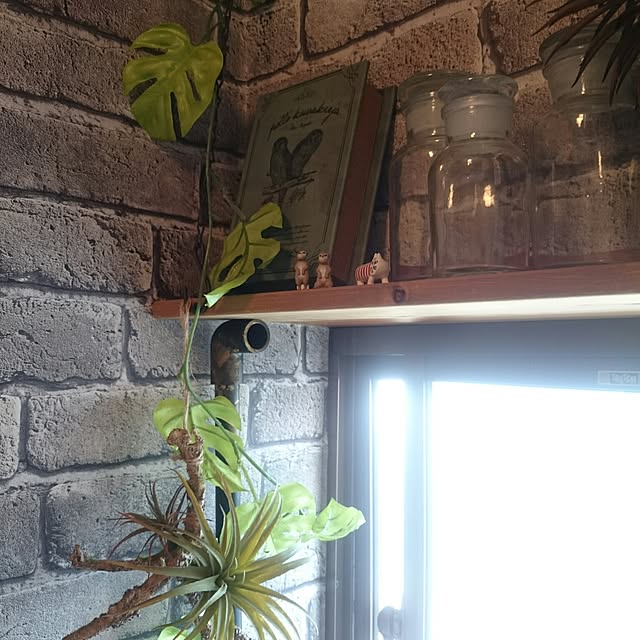 kenさんの実例写真