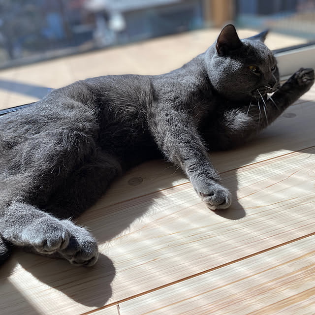 hachiさんの部屋