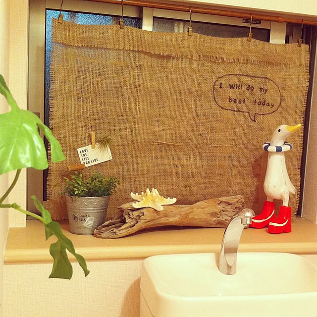pさんの実例写真