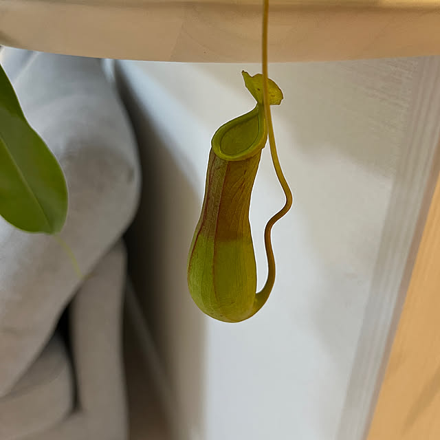 miさんの部屋