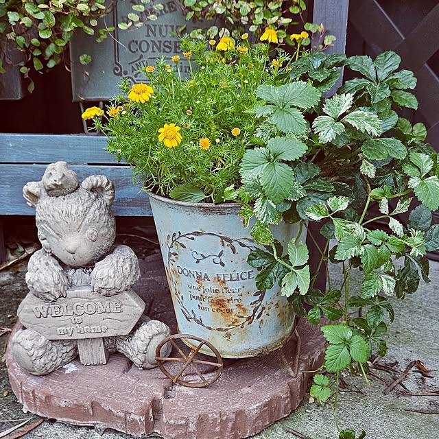 mocomocoさんの部屋