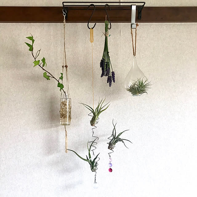 Shizuku-sanさんの実例写真
