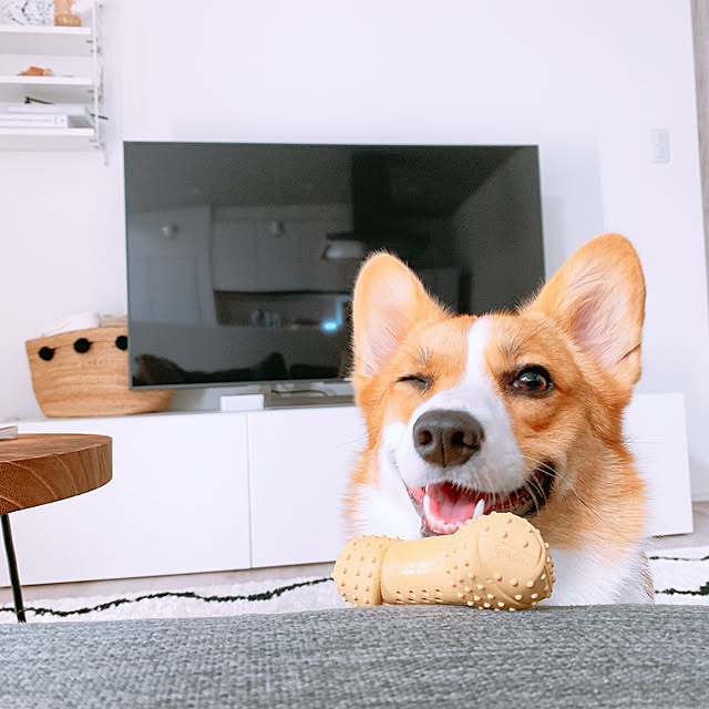 3ayuさんの実例写真