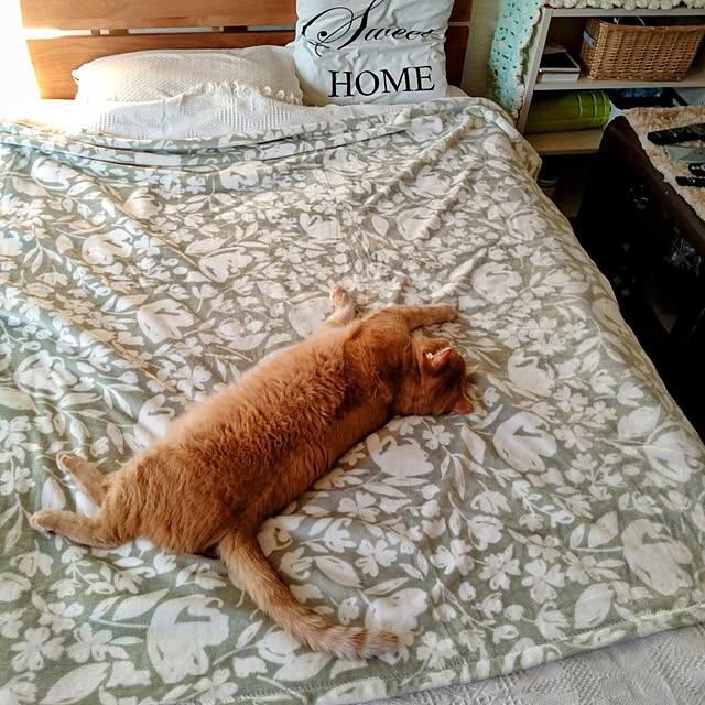 CHIKAさんの部屋