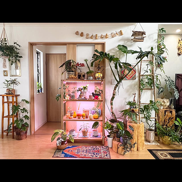 h_a_n_a_y_u_iさんの実例写真