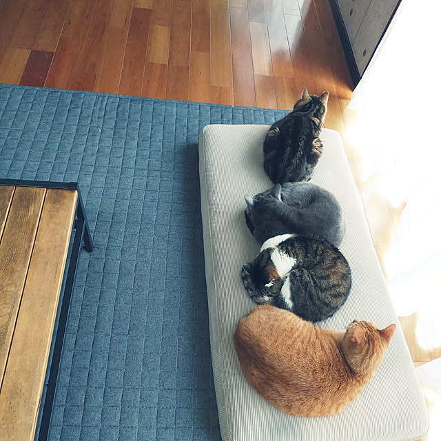 annさんの実例写真
