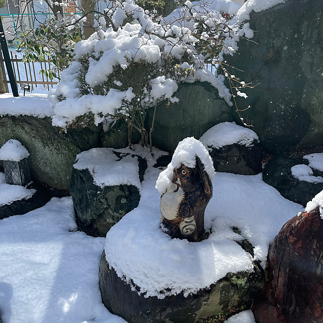 shin0719さんの実例写真