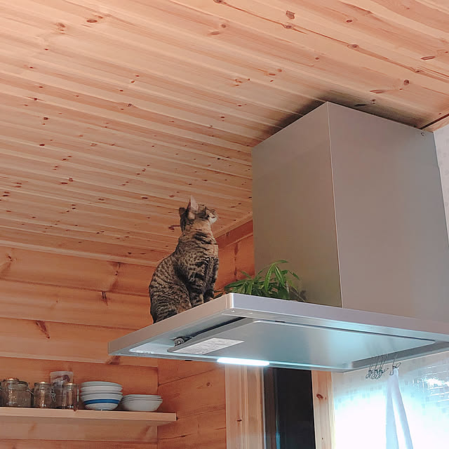 blueさんの実例写真
