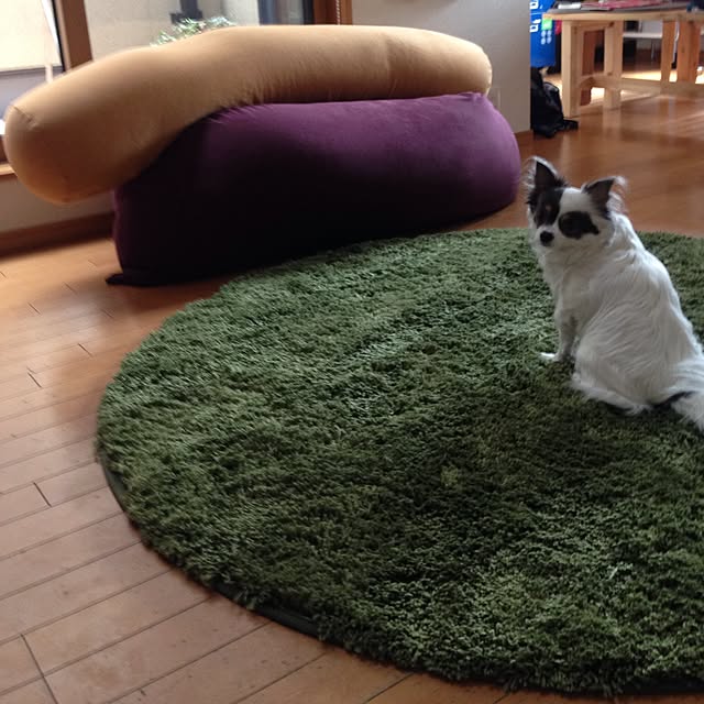 tomoさんの実例写真