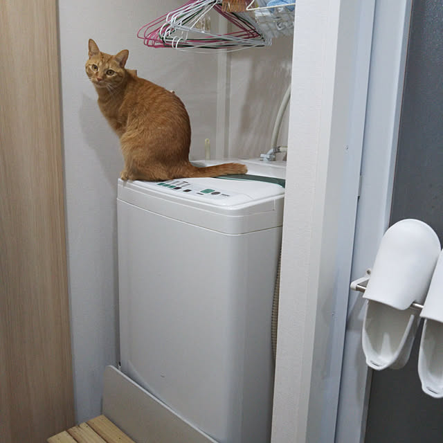naturalさんの実例写真