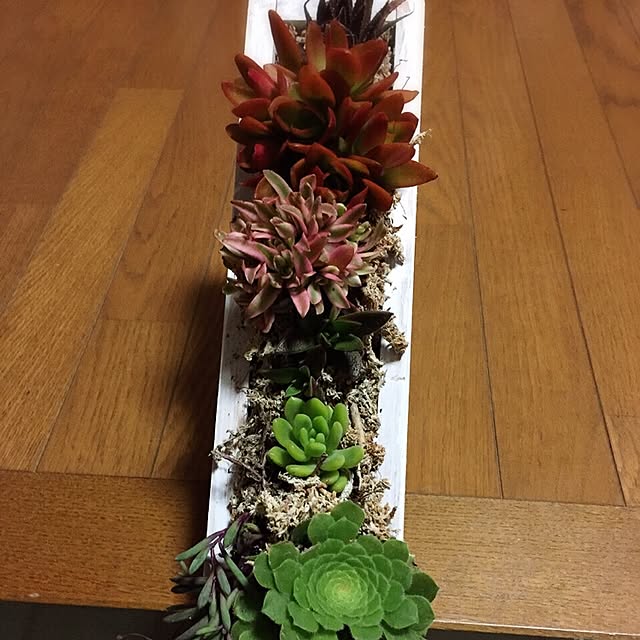 moririnさんの実例写真