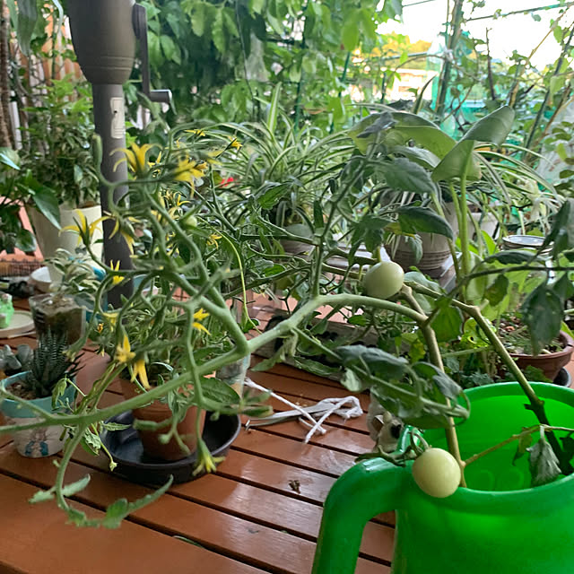 Aqettyさんの部屋