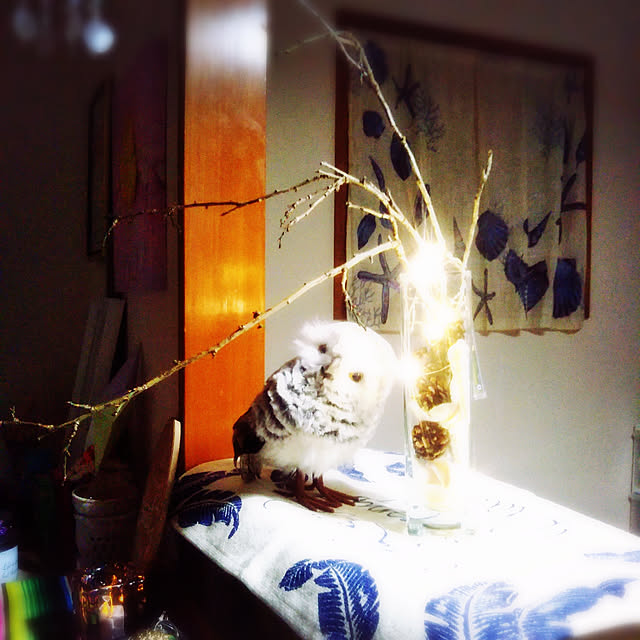 chikoさんの実例写真