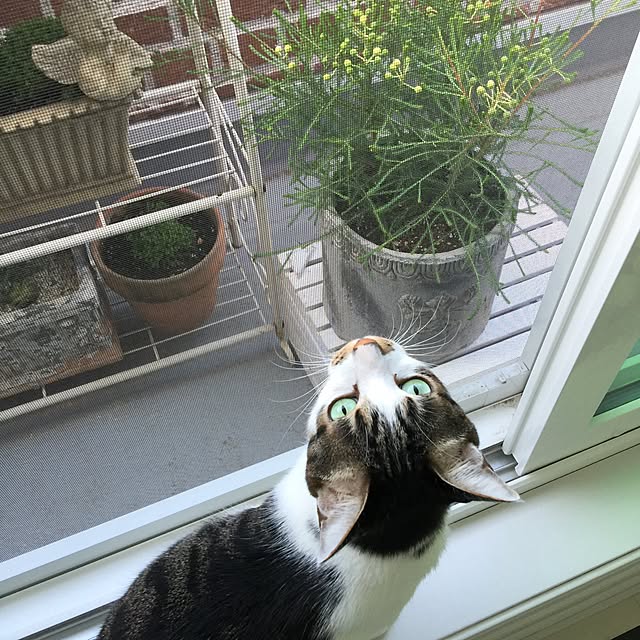 yuchiさんの実例写真