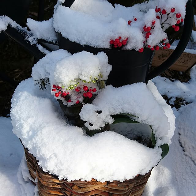 weさんの実例写真
