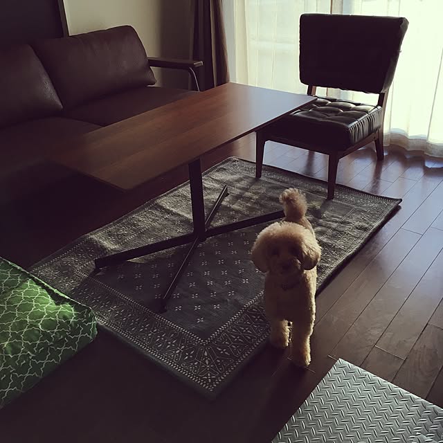 220104_Leoさんの実例写真