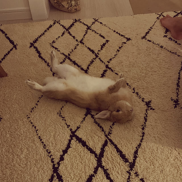takeさんの実例写真