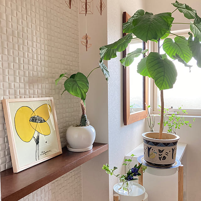 ai.saさんの部屋