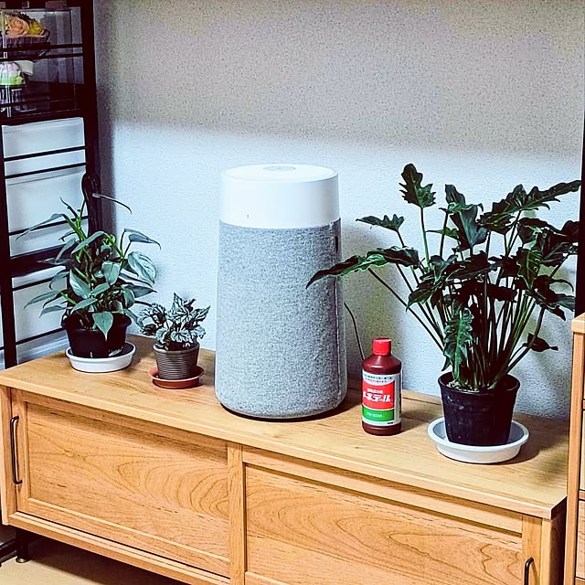 hanachanさんの実例写真