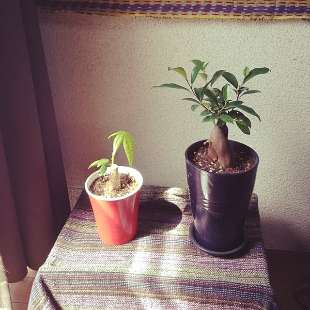 melomeさんの実例写真
