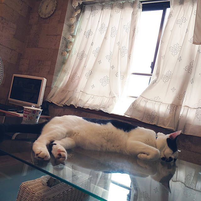 asuminさんの実例写真