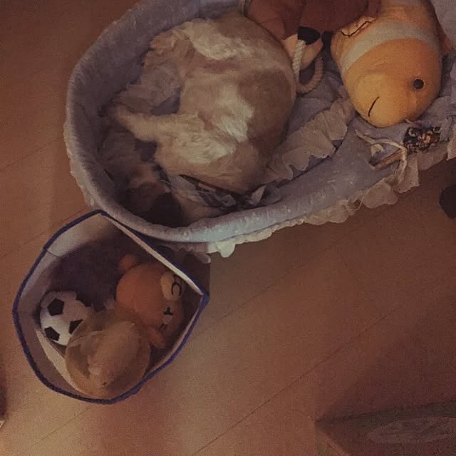 emiさんの実例写真