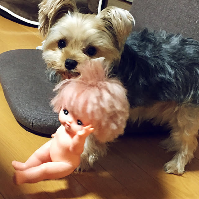 marcheさんの実例写真