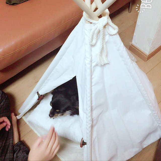 Manaさんの実例写真